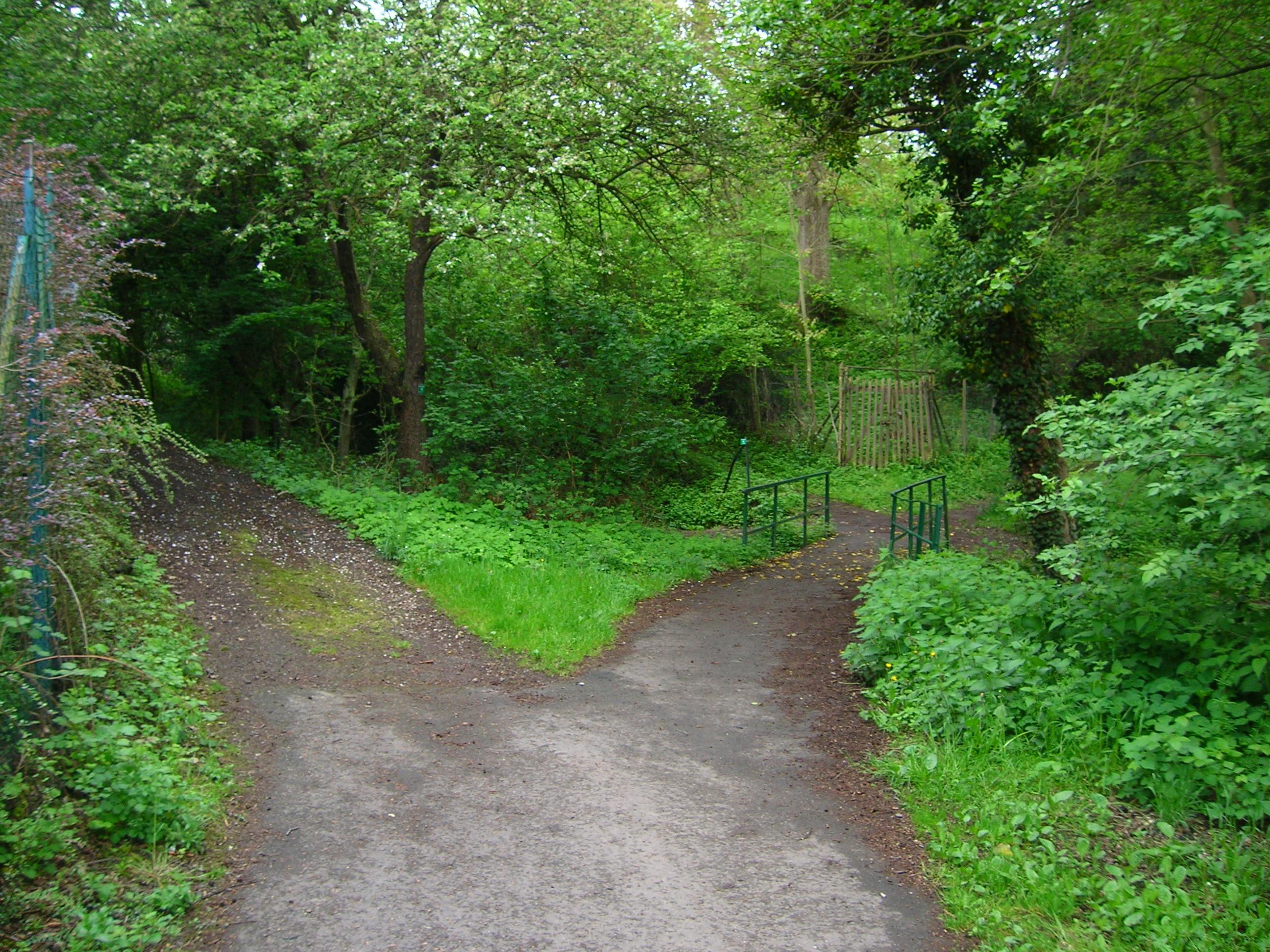 Which way t take?